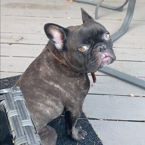 Meet your Posher, Tiff